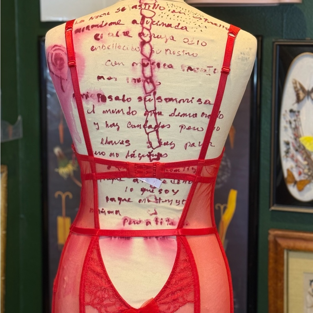 Elegant Red Lace corset with garter - Picture 4 of 7